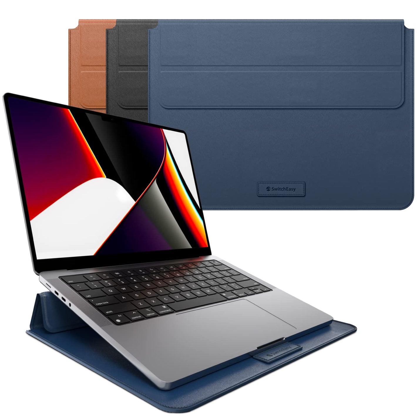 Switch Easy protector