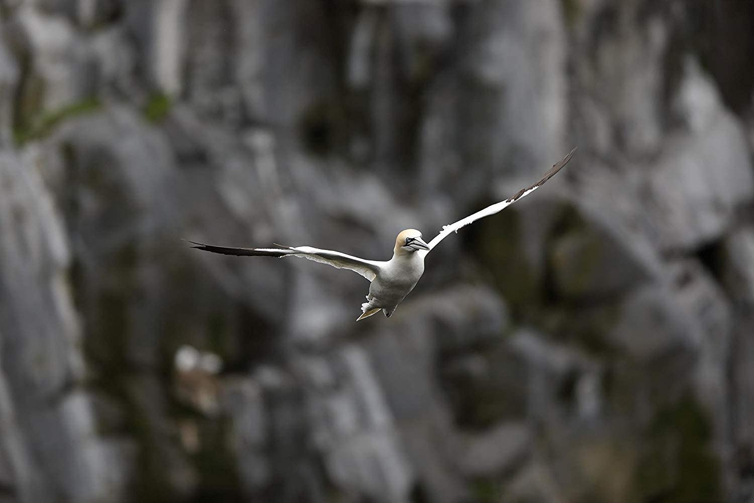 -lebanon-beirut-warranty-sale-shop-shopping-prices in lebanon-canon-canon prices in lebanon-