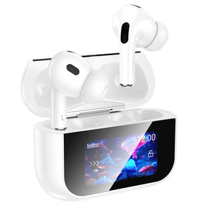 Hoco ew79 earphone