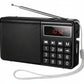HOCO PORTABLE RADIOS