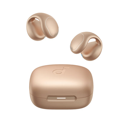 Anker Soundcore C40i