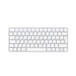 Apple MAGIC KEYBOARD SMALL (2021)