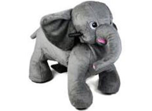 Animals Ride-on toys for kids ( It works via coins and you can set the time and price you want)