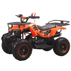 Winner Sky Atv PR025-01