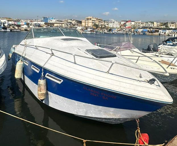 Boats with room moteurs suzuki 300 clean (for sale)