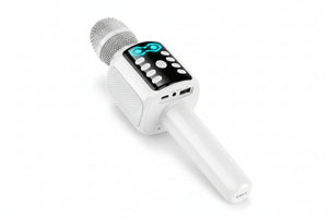 HOCO KARAOKE MICROPHONE BT SPEAKER L24