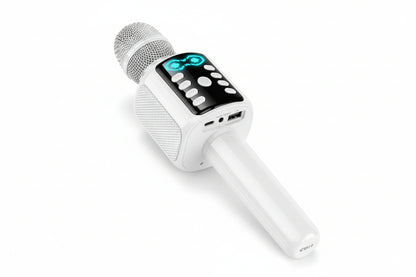 HOCO KARAOKE MICROPHONE BT SPEAKER L24