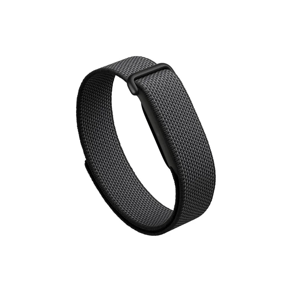 Google fitbit air
