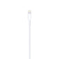 Apple LIGHTNING TO USB CABLE