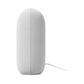 Google Nest Audio