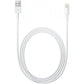 Apple LIGHTNING TO USB CABLE