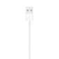Apple LIGHTNING TO USB CABLE