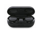 Bose sport earbuds