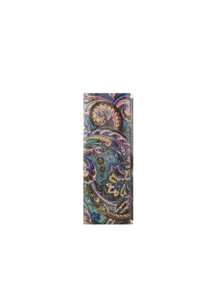 GREEN LION PATTERN BOTTLE ART PAINTING