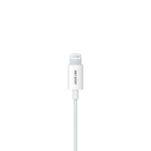 GREEN LION STEREO EARPHONES FOR IPHONE 13