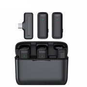 GREEN LION 2 IN 1 WIRELESS MICROPHONE